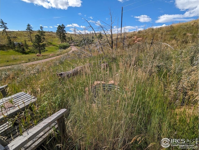 1737 Eiger Rd, Livermore, CO 80536