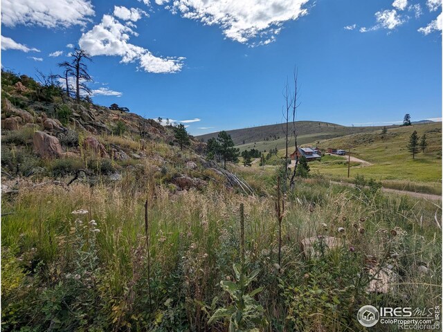 1737 Eiger Rd, Livermore, CO 80536