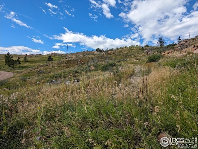 1737 Eiger Rd, Livermore, CO 80536
