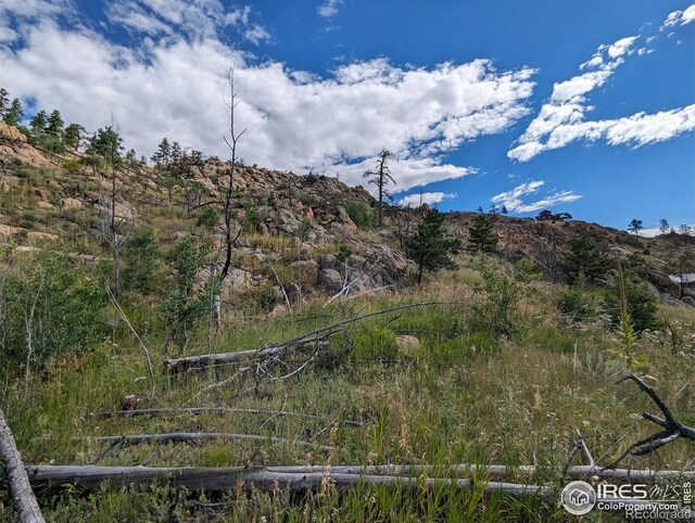 1737 Eiger Rd, Livermore, CO 80536