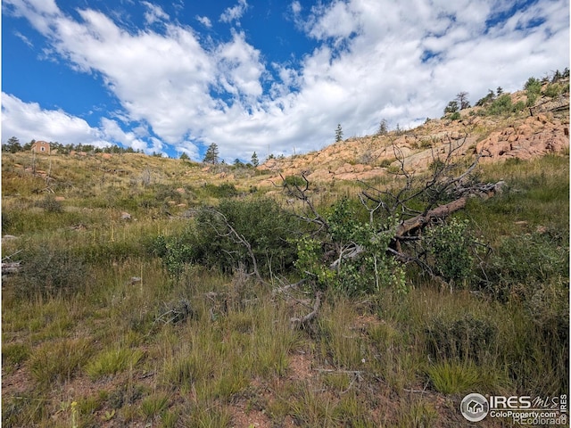 1737 Eiger Rd, Livermore, CO 80536