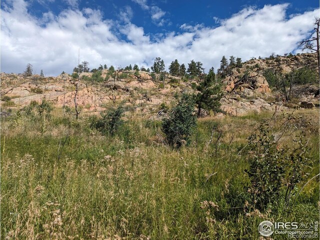 1737 Eiger Rd, Livermore, CO 80536