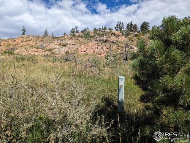 1737 Eiger Rd, Livermore, CO 80536
