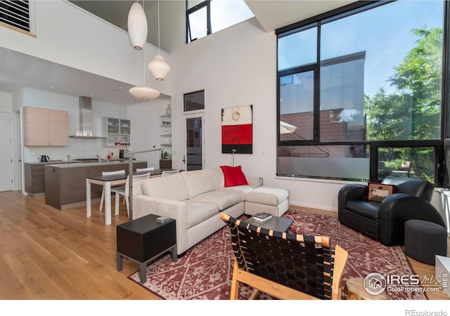 living room featuring light hardwood / wood-style flooring and a high ceiling