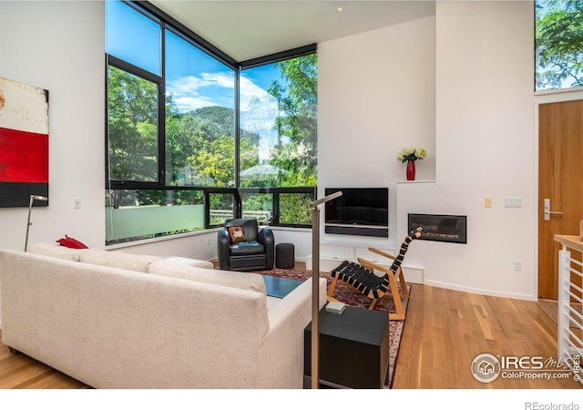 living room featuring light hardwood / wood-style flooring and a healthy amount of sunlight