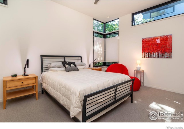 bedroom with floor to ceiling windows and carpet flooring