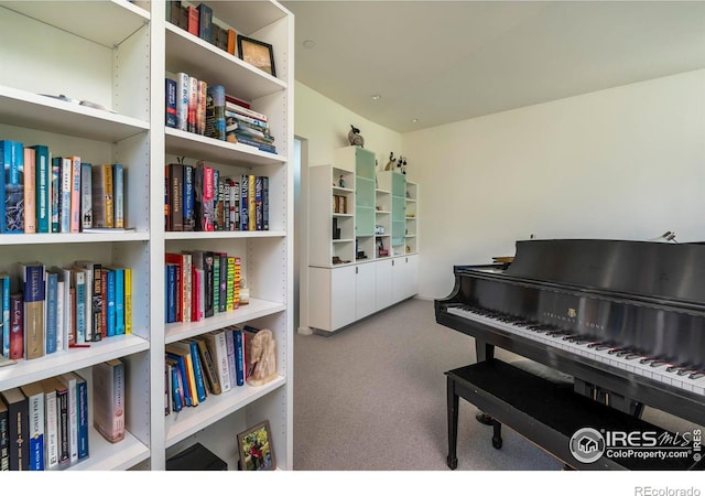 miscellaneous room with carpet flooring