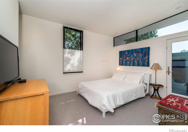 bedroom with carpet floors