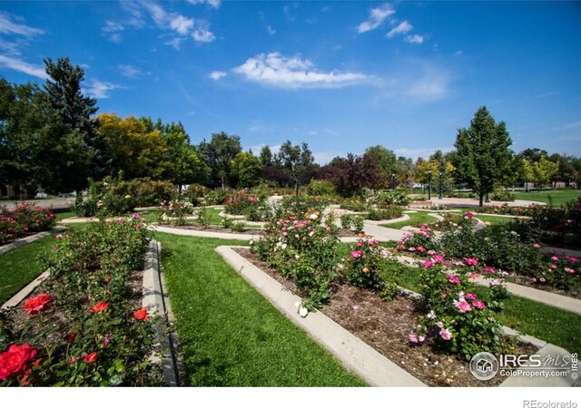 view of community with a lawn and a vegetable garden