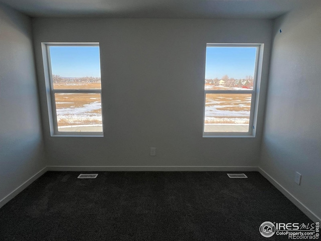 view of carpeted spare room