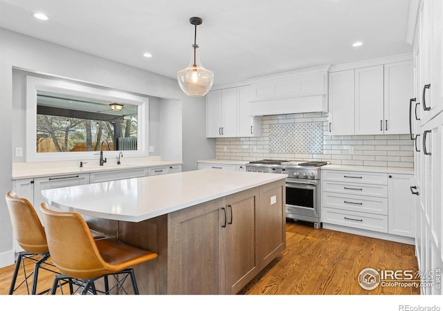 kitchen with white cabinetry and stainless steel stove