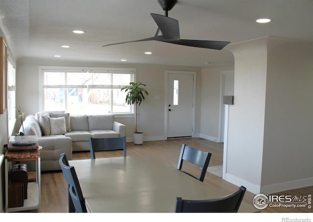 dining space with ceiling fan and light wood-type flooring