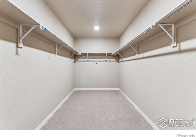 walk in closet featuring carpet floors