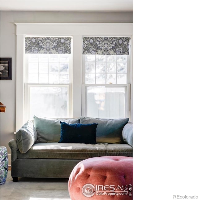 living room with hardwood / wood-style flooring