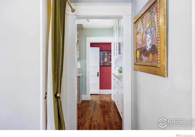 hall featuring dark wood-type flooring