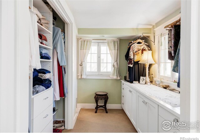 mudroom featuring light carpet and a wealth of natural light