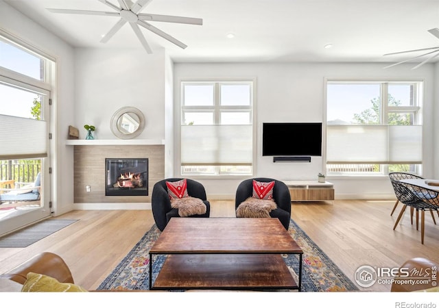 living room with ceiling fan, a fireplace, light hardwood / wood-style flooring, and a wealth of natural light