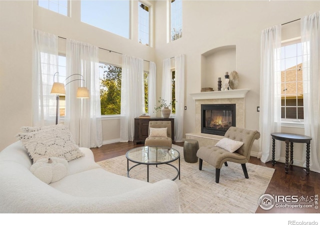 interior space featuring wood-type flooring and a premium fireplace