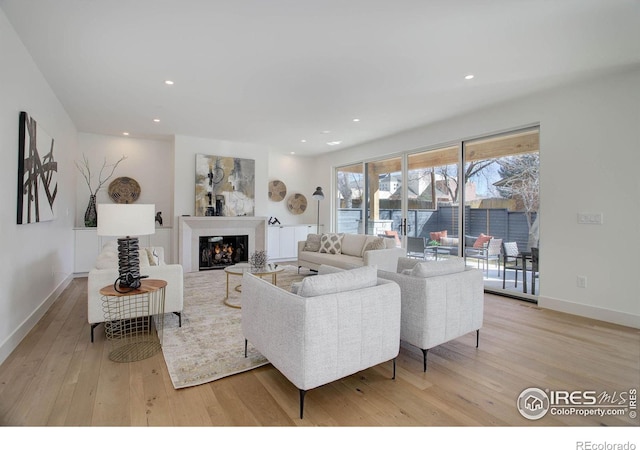 living room with light hardwood / wood-style flooring