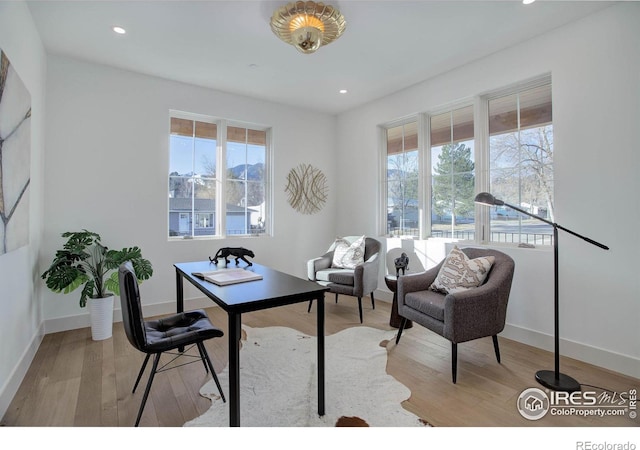 office space with a wealth of natural light and light hardwood / wood-style floors