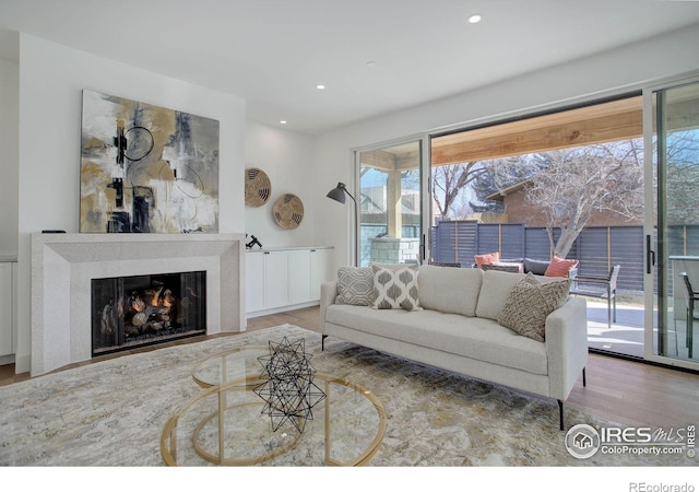 living room with wood-type flooring and a wealth of natural light