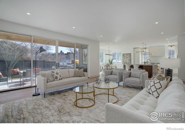 living room featuring light hardwood / wood-style floors