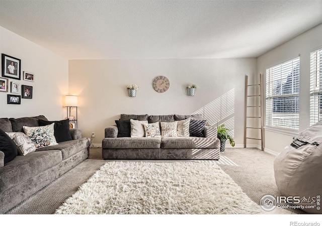 carpeted living room featuring a textured ceiling