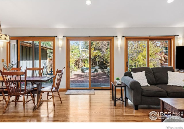 living room with light wood-type flooring