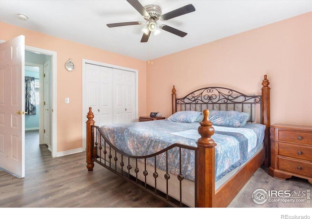 bedroom featuring hardwood / wood-style flooring, ceiling fan, and a closet