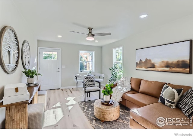 living room with ceiling fan and light hardwood / wood-style flooring