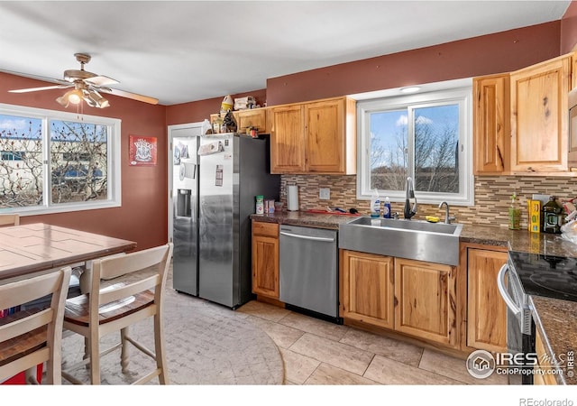 kitchen with stainless steel appliances, tasteful backsplash, sink, and a healthy amount of sunlight