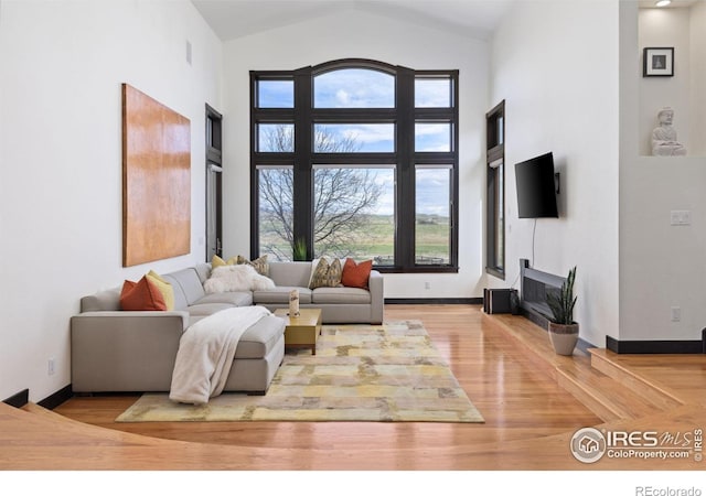 living room featuring wood-type flooring and high vaulted ceiling