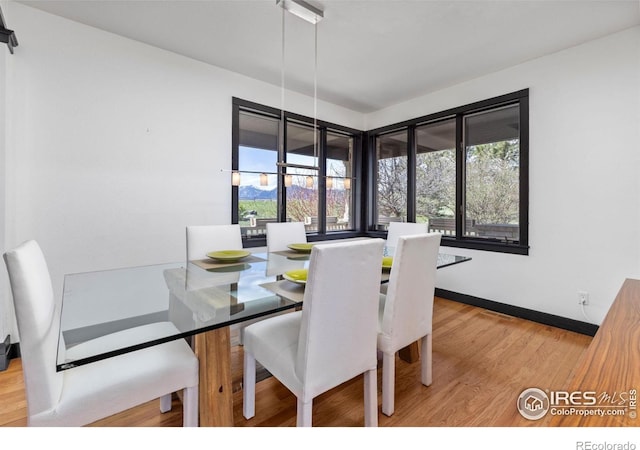 dining area featuring wood-type flooring and plenty of natural light