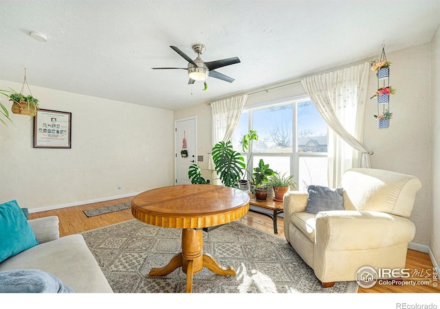 living room featuring ceiling fan, a textured ceiling, and light wood-type flooring