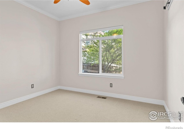 spare room with ceiling fan, ornamental molding, and carpet