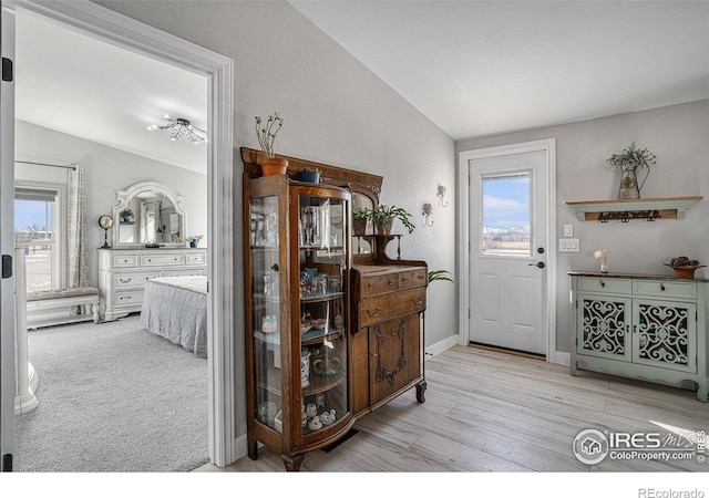 foyer with light hardwood / wood-style flooring, a wealth of natural light, and vaulted ceiling