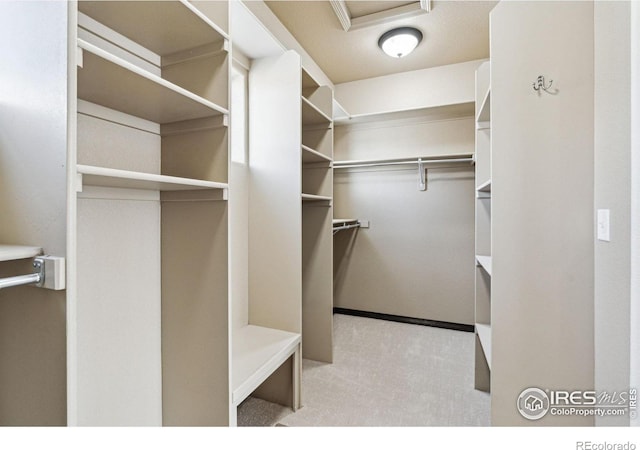 spacious closet featuring light carpet