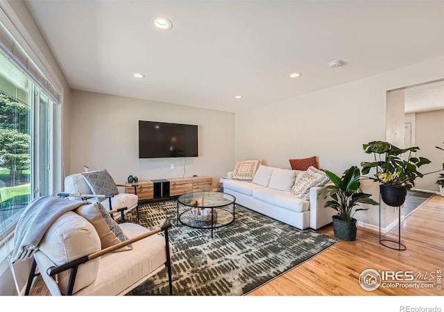 living room featuring wood-type flooring