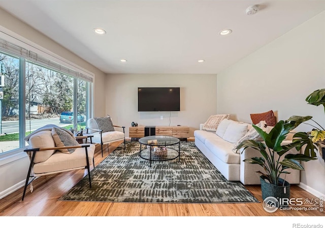 living room with hardwood / wood-style flooring