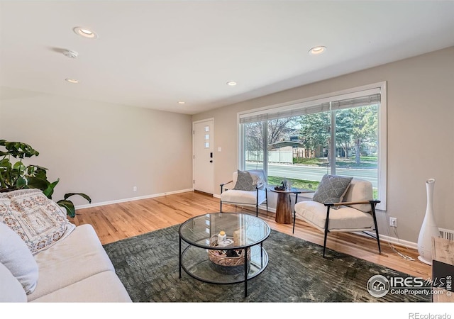 living room with hardwood / wood-style flooring