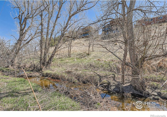 view of local wilderness