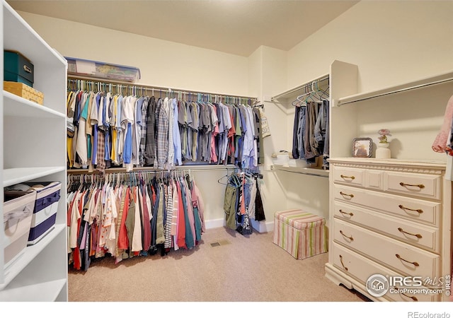 spacious closet with light carpet