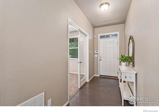 foyer entrance featuring dark wood-type flooring