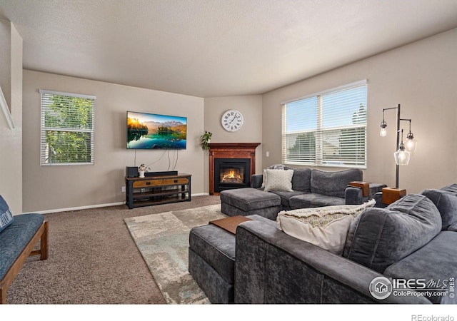 living room featuring carpet flooring and a textured ceiling