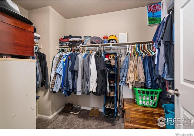 walk in closet featuring carpet flooring