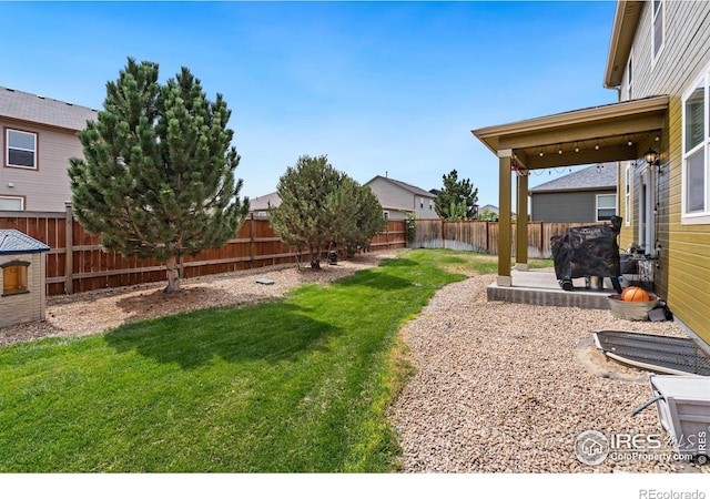 view of yard featuring a patio area