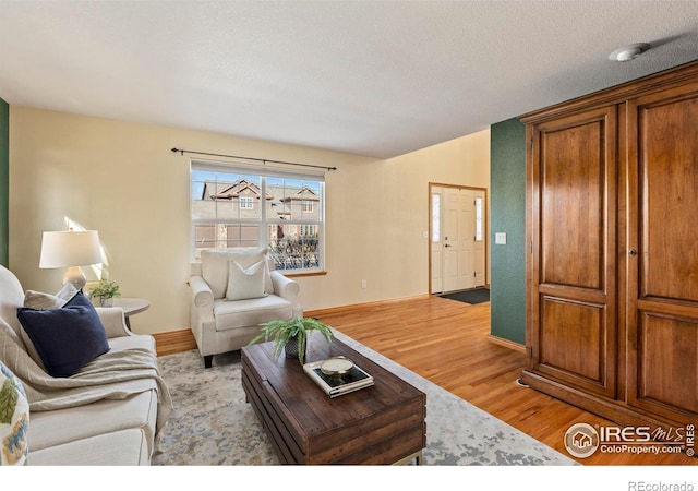 living room with light hardwood / wood-style floors