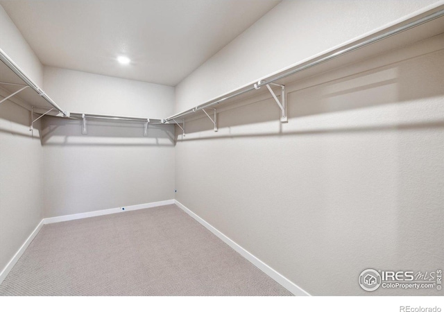 walk in closet featuring carpet flooring