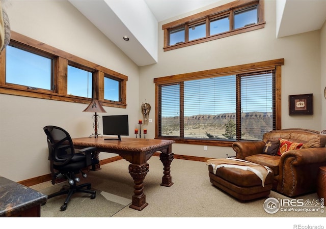 carpeted office with high vaulted ceiling