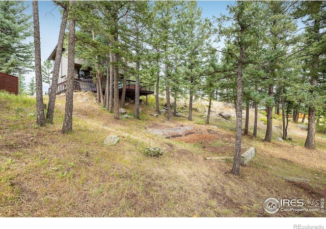 view of yard featuring a wooden deck